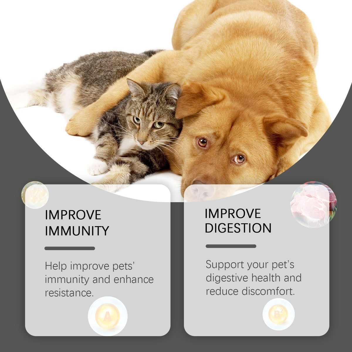 Cats And Dogs General Compound Probiotic Tablets, Pets Absorb Nutrition Supplement Tablets Dog And Cat Nutrition
