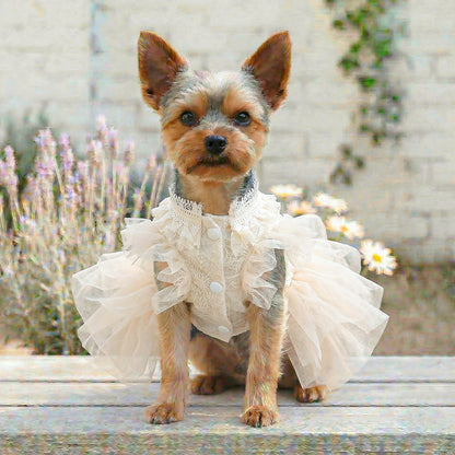 Pet Dog Cat Clothes Cute Small Dog Autumn Winter New Muse Wedding Dress Gown