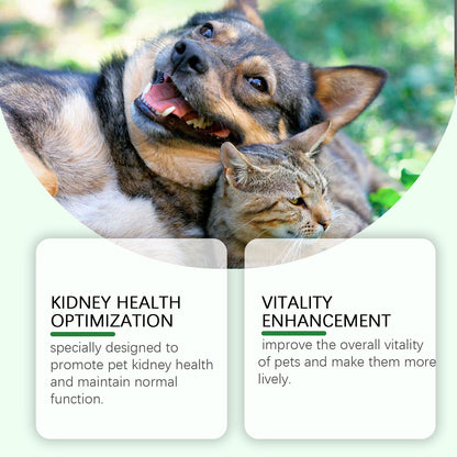 Pet Care Supplement To Enhance The Health Of Pets Gentle Ingredient Care Supplement