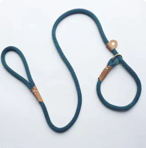 5q2Gt4PrinHVqhwZK8C1.webp