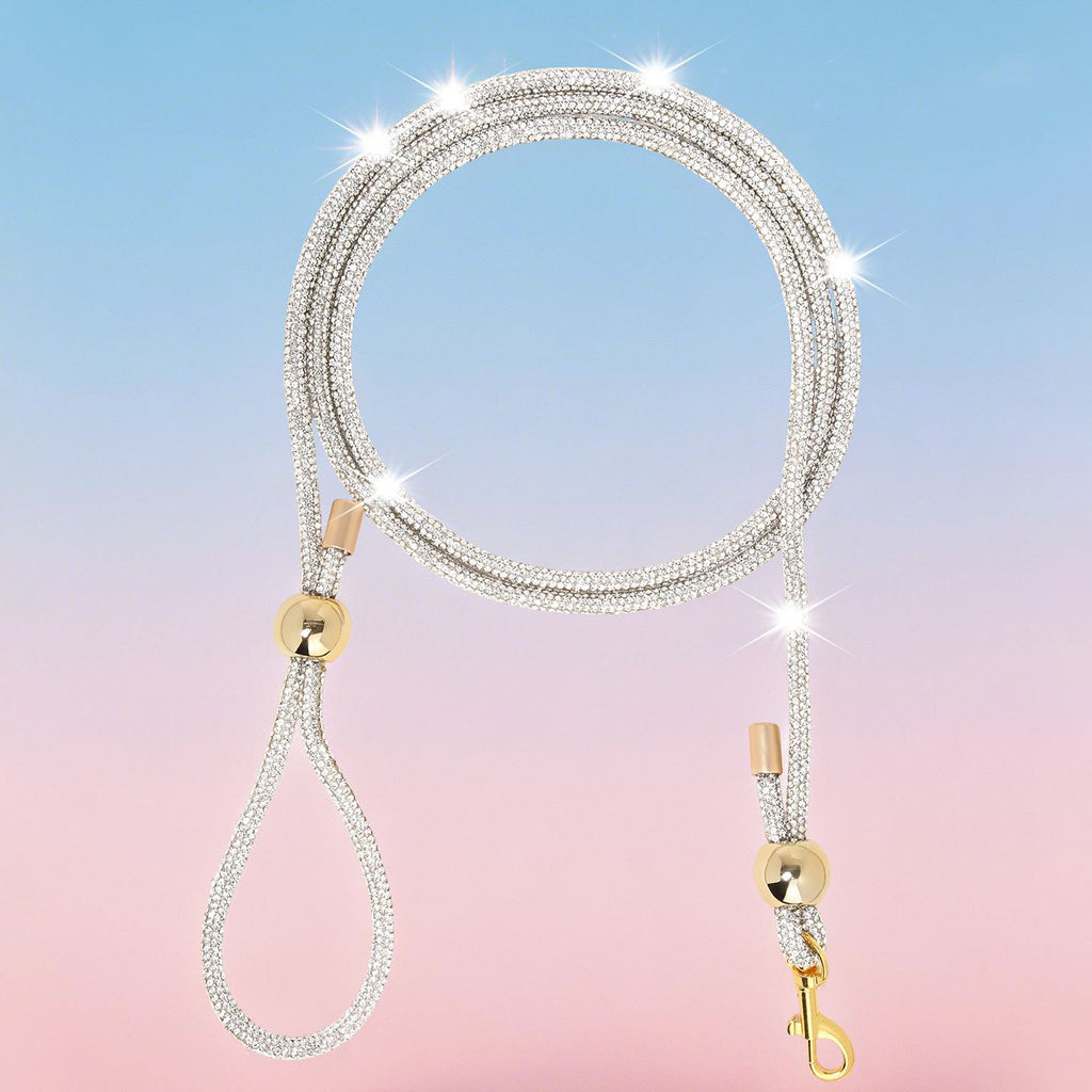 Pet outdoor towing rope