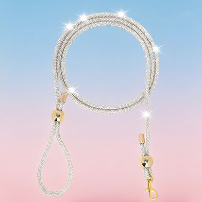 Pet outdoor towing rope