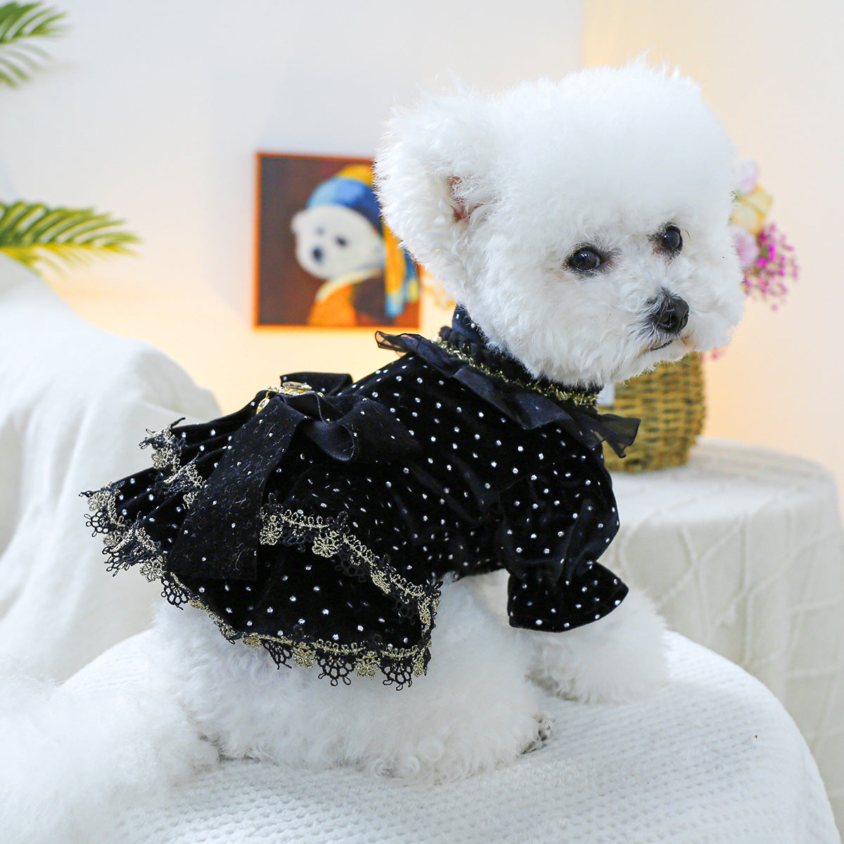 Pet Clothes Spring Autumn Small Dog Puppy Dark Black Festival Party Atmosphere Black Gold Dress Skirt