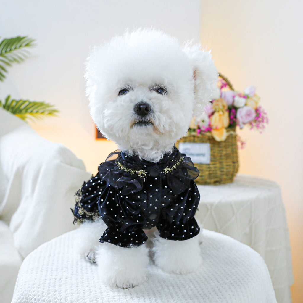 Pet Clothes Spring Autumn Small Dog Puppy Dark Black Festival Party Atmosphere Black Gold Dress Skirt