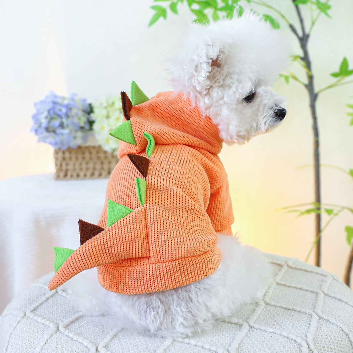 Pet Costume Halloween Dinosaur Transformation Outfit for Small and Medium Dogs Cosplay Costume Lucky Dinosaur Costume