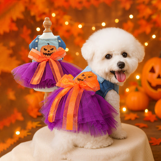 Pet Circle Spring Summer Cute Cartoon Pumpkin Style Whimsical Pumpkin Dress for Dogs and Cats